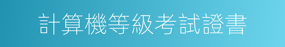 計算機等級考試證書的同義詞