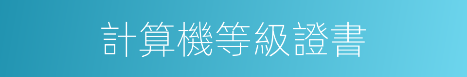 計算機等級證書的同義詞