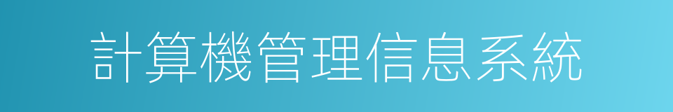 計算機管理信息系統的同義詞