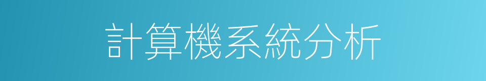 計算機系統分析的同義詞