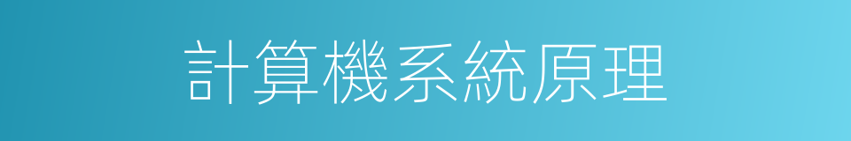 計算機系統原理的同義詞