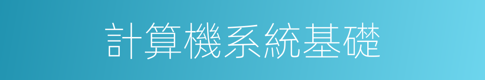 計算機系統基礎的同義詞