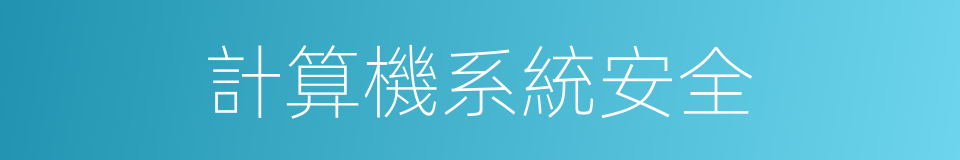 計算機系統安全的同義詞