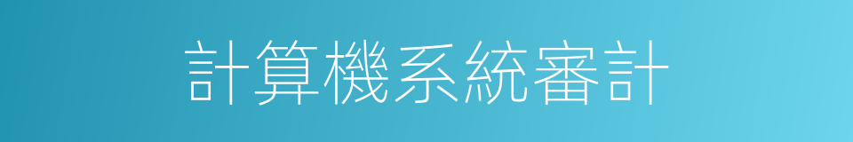 計算機系統審計的同義詞