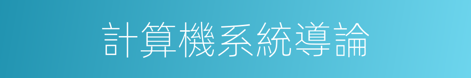 計算機系統導論的同義詞