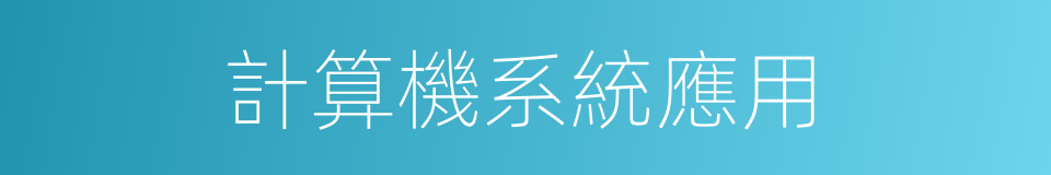 計算機系統應用的同義詞