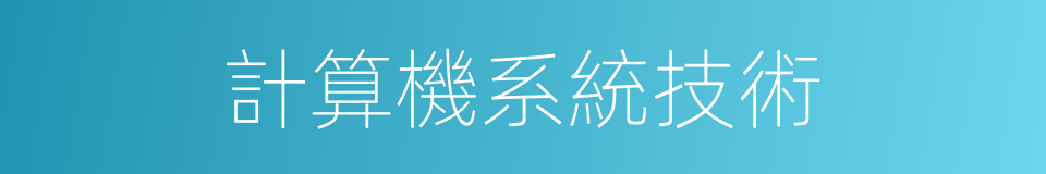 計算機系統技術的同義詞