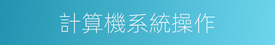 計算機系統操作的同義詞