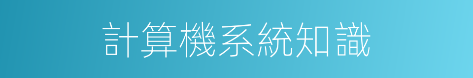 計算機系統知識的同義詞