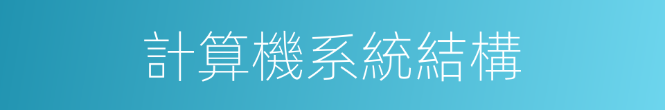 計算機系統結構的同義詞