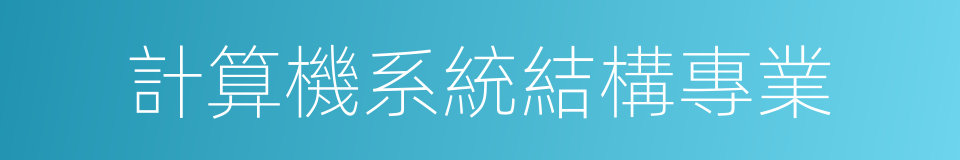 計算機系統結構專業的同義詞