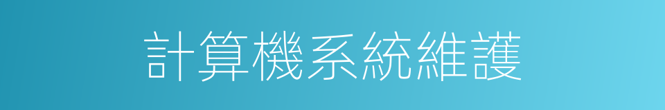 計算機系統維護的同義詞