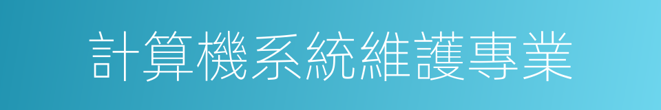 計算機系統維護專業的同義詞