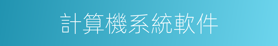 計算機系統軟件的同義詞