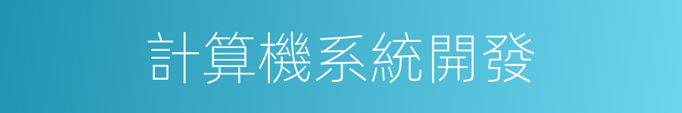 計算機系統開發的同義詞