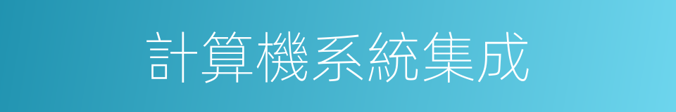 計算機系統集成的同義詞