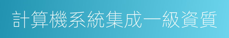 計算機系統集成一級資質的同義詞