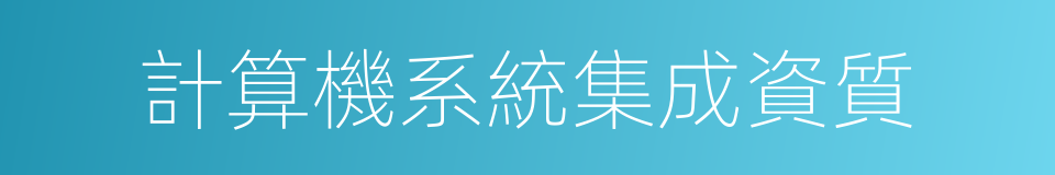 計算機系統集成資質的同義詞