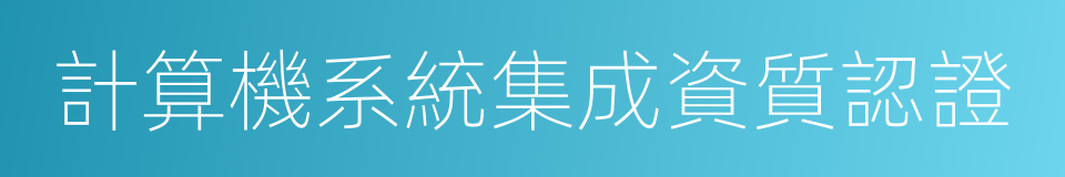 計算機系統集成資質認證的同義詞