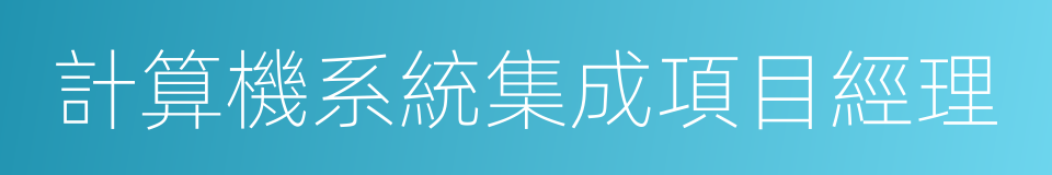 計算機系統集成項目經理的同義詞