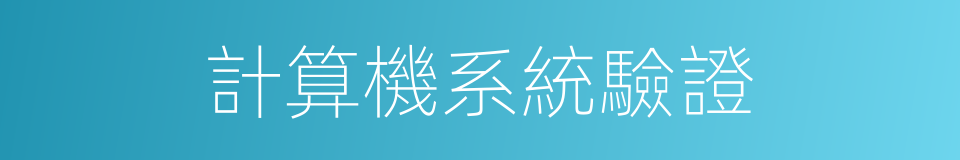 計算機系統驗證的同義詞