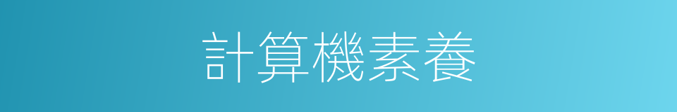計算機素養的同義詞