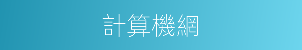 計算機網的同義詞