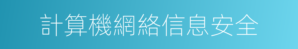 計算機網絡信息安全的同義詞