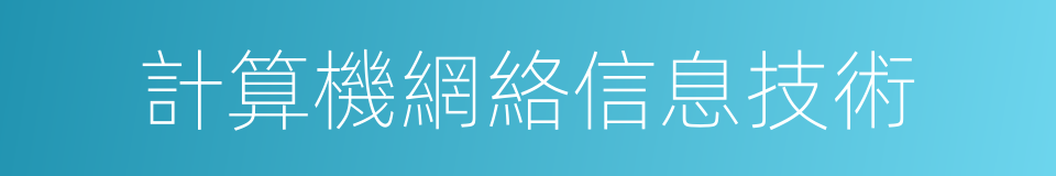 計算機網絡信息技術的同義詞