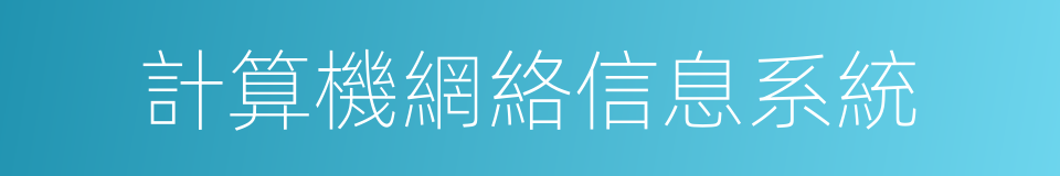 計算機網絡信息系統的同義詞