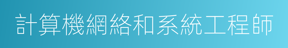 計算機網絡和系統工程師的同義詞