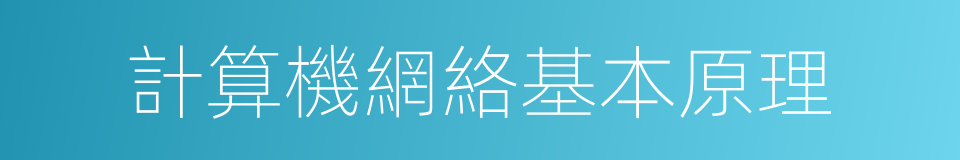 計算機網絡基本原理的同義詞