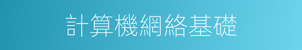 計算機網絡基礎的同義詞