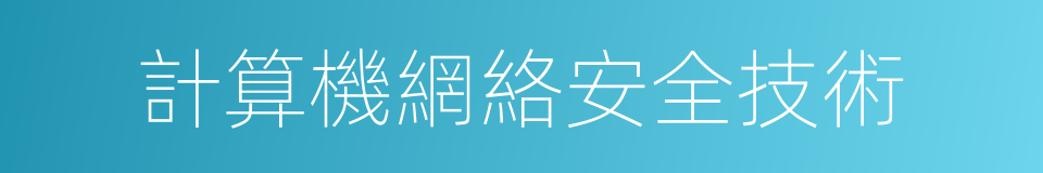 計算機網絡安全技術的同義詞