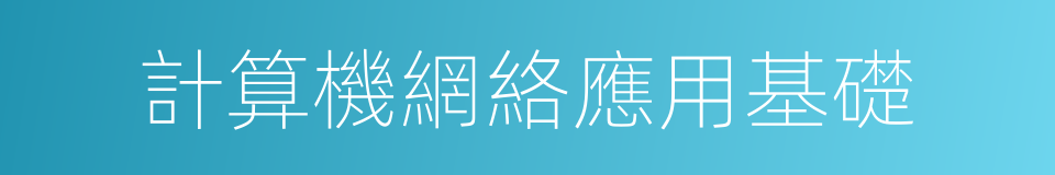 計算機網絡應用基礎的同義詞