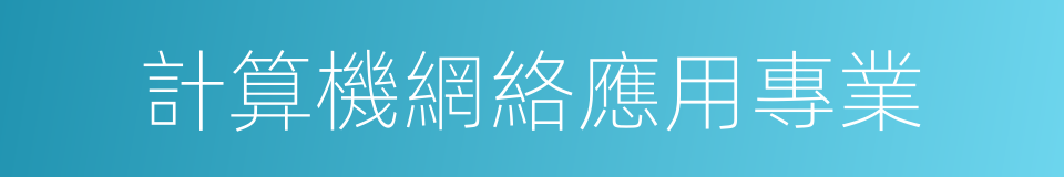 計算機網絡應用專業的同義詞