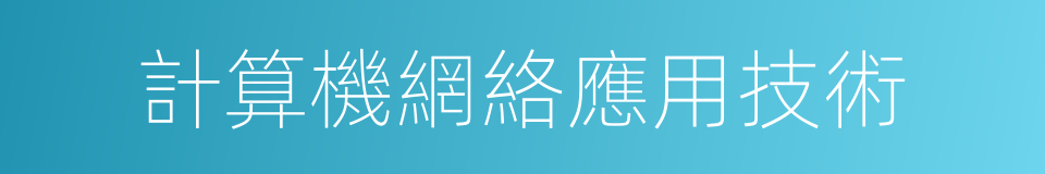 計算機網絡應用技術的同義詞