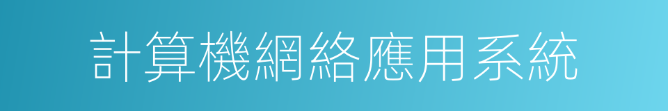 計算機網絡應用系統的同義詞