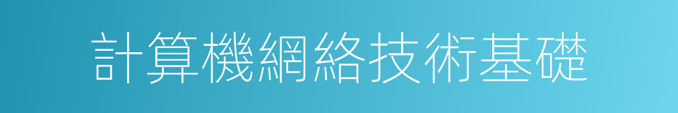 計算機網絡技術基礎的同義詞