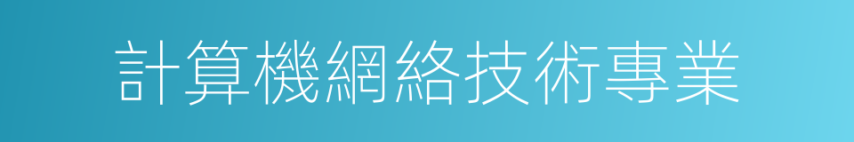 計算機網絡技術專業的同義詞