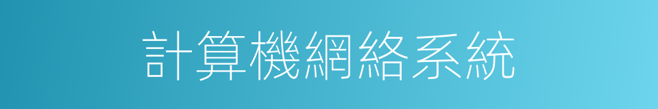 計算機網絡系統的同義詞