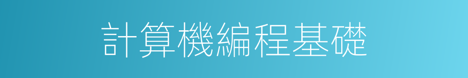 計算機編程基礎的同義詞