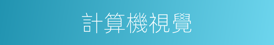 計算機視覺的同義詞