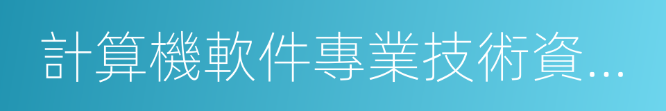 計算機軟件專業技術資格和水平考試的同義詞