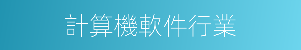 計算機軟件行業的同義詞