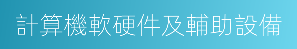 計算機軟硬件及輔助設備的同義詞