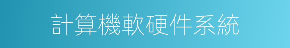 計算機軟硬件系統的同義詞