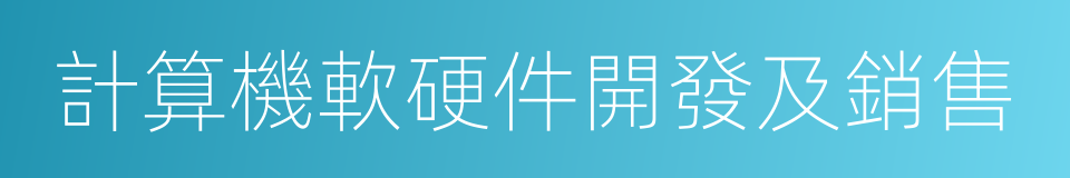 計算機軟硬件開發及銷售的同義詞