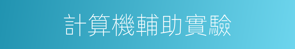 計算機輔助實驗的同義詞