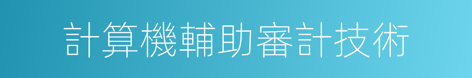 計算機輔助審計技術的同義詞